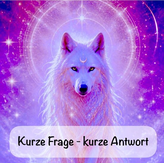 Kurze Frage- kurze Antwort 