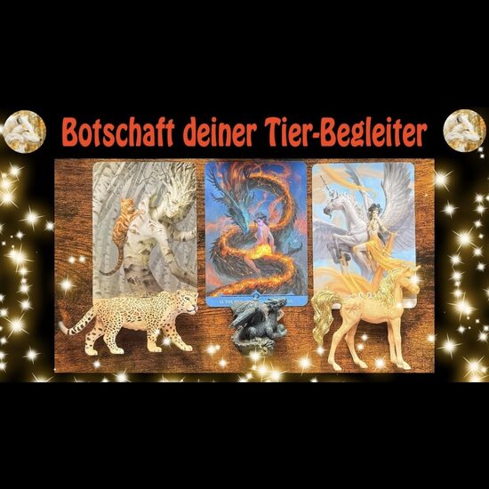 Botschaft deiner Tier Begleiter 