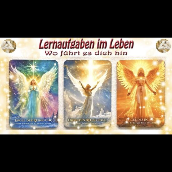 🐺🎯Lernaufgaben in diesem Leben und wo sie dich hinführen🎯🐺