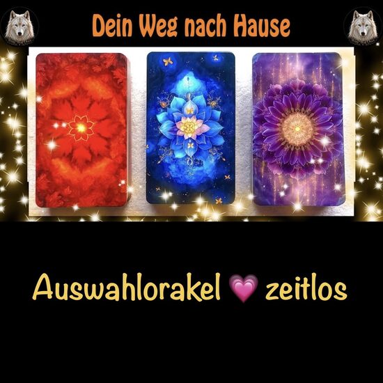 🐺🍒🍓DEIN WEG NACH HAUSE🍇🍄🐺