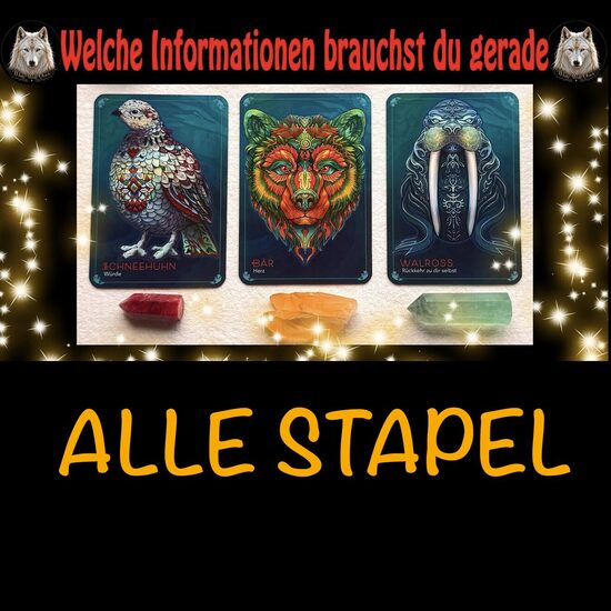 💥🎯 Welche Informationen sind gerade wichtig für dich 💥🎯