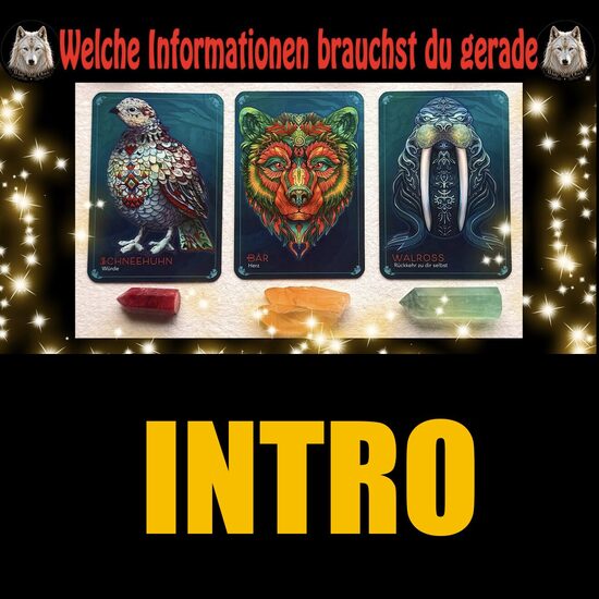 EINBLICK / INTRO:💥🎯 Welche Informationen sind gerade wichtig für dich 💥🎯