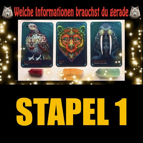 NUR Stapel 1: Welche Informationen sind gerade wichtig für dich 💥🎯