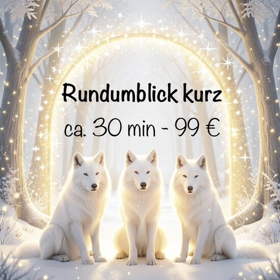 Rundumblick kurz